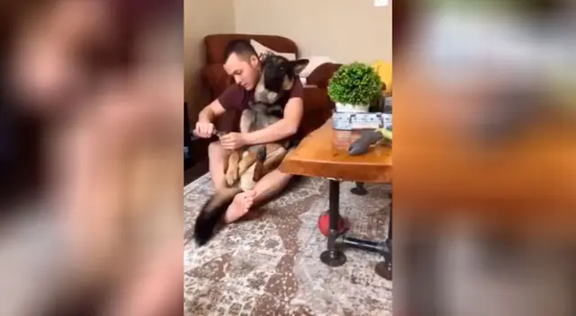 La reacción del can ha sacado más de una sonrisa a todos en las redes sociales.