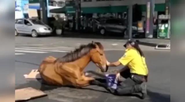 La escena se volvió tendencia en diversos países del mundo.