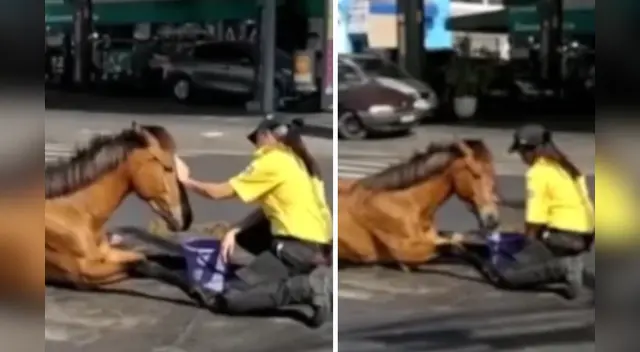 La emotiva escena ha tocado los corazones de miles en las redes sociales.