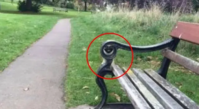 ¡Aquí debes poner a prueba tu agilidad visual! ¡Aquí debes poner a prueba tu agilidad visual!