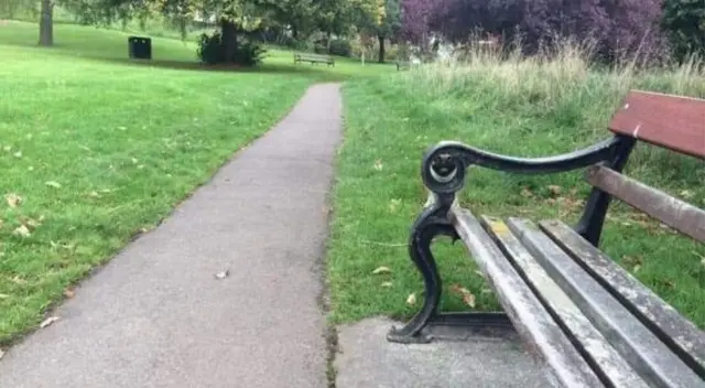 ¿Logras ver al perro? El nuevo reto visual que muy pocos pueden resolverlo ¿Logras ver al perro? El nuevo reto visual que muy pocos pueden resolverlo