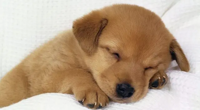 Únete al reto visual que ha dejado en shock a muchos internautas. Únete al reto visual que ha dejado en shock a muchos internautas.