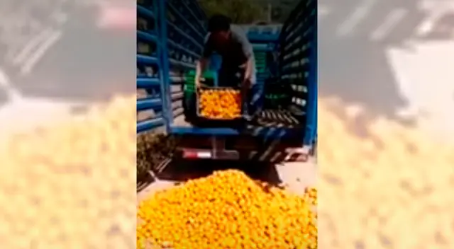 Agricultores piden ayuda ante perdida de sus cultivos en Chanchamayos.