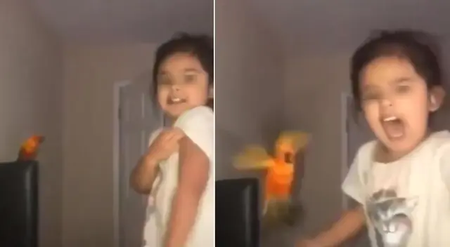 El video se hizo viral en YouTube. El video se hizo viral en YouTube.