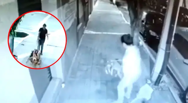 Imágenes de la cámara de vigilancia de la veterinaria. Imágenes de la cámara de vigilancia de la veterinaria.