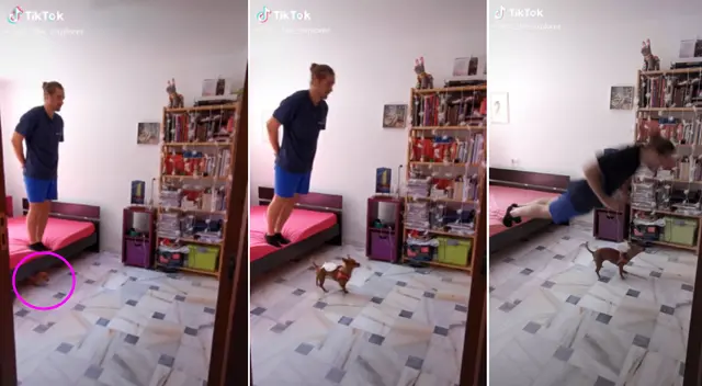 El video se hizo viral en TikTok. El video se hizo viral en TikTok.