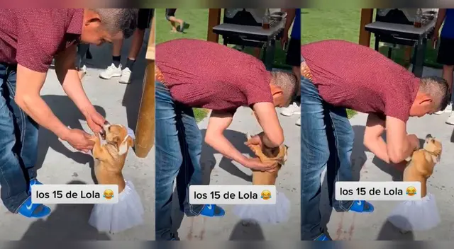 Miles de usuarios en TikTok quedaron fascinados con el 'quinceañero' de la perrita llamada Lola.