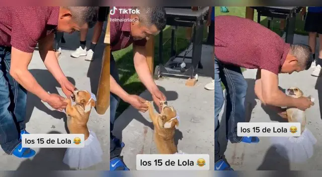 La divertida escena causó sensación en las redes sociales.