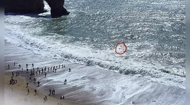 Alrededor de 30 personas formaron la cadena humana. Alrededor de 30 personas formaron la cadena humana.