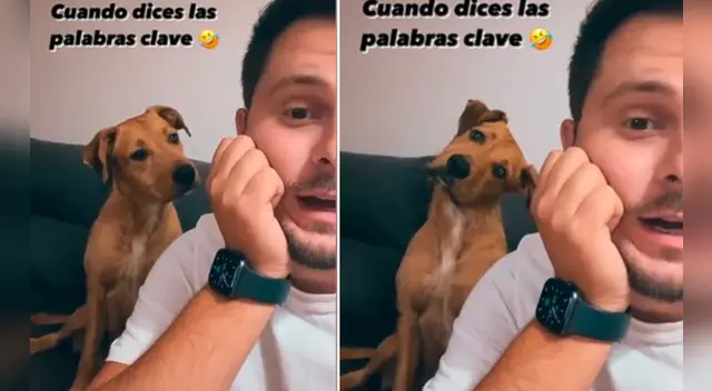 La cómica escena causó la risa de miles de internautas en las redes sociales.
