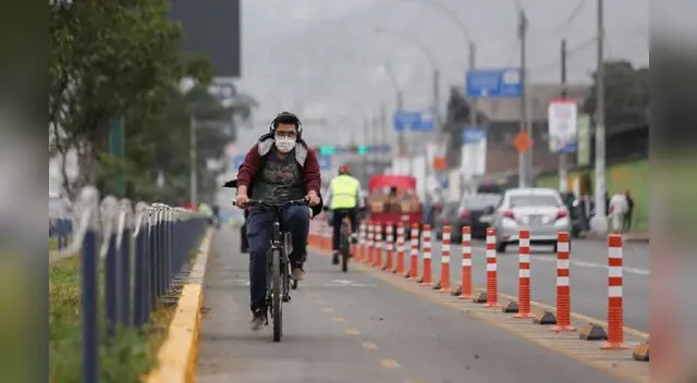 Municipalidad de Lima pide a testigos de estas faltas que lo reporte del aplicativo Vipa. Municipalidad de Lima pide a testigos de estas faltas que lo reporte del aplicativo Vipa.