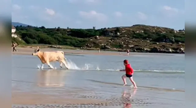 La escena causó el asombro de varios usuarios en las redes sociales.