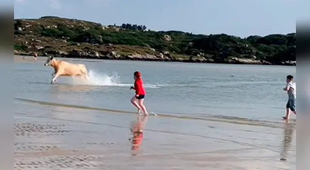 El clip cuenta con miles de reproducciones en YouTube.