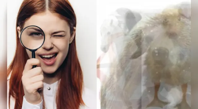 El challengue de Facebook ha causado sensación en las redes sociales.