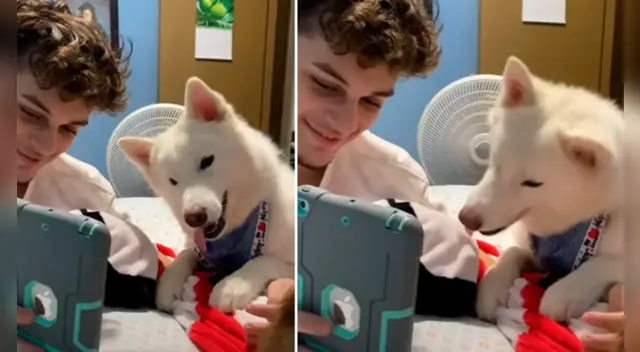 El clip cuenta con miles de reproducciones en Facebook.