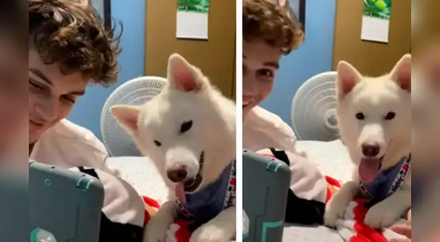 La escena causó la risa de varios usuarios en las redes sociales.