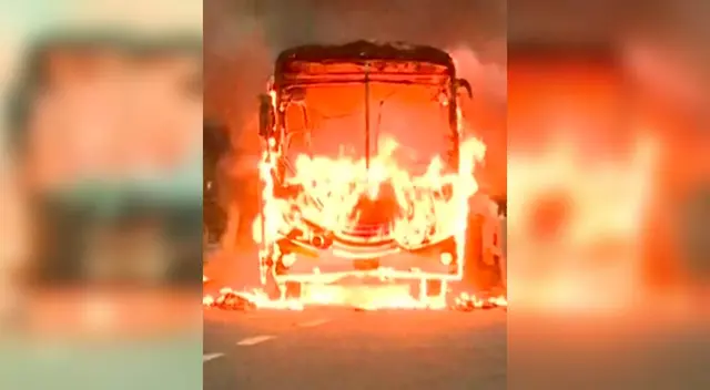 Afortunadamente no hubo muertes que lamentar. Afortunadamente no hubo muertes que lamentar.