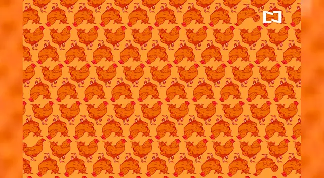 El nuevo reto que desafía tu vista.