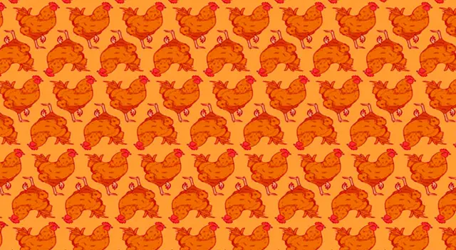 El nuevo reto que desafía tu vista.