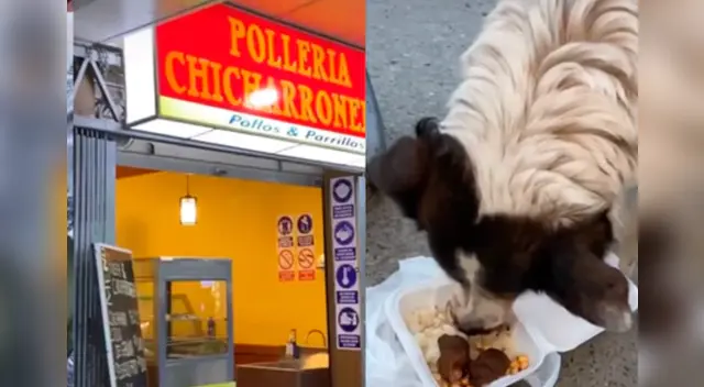 La emotiva escena se ha robado el corazón de miles de usuarios en las redes sociales. La emotiva escena se ha robado el corazón de miles de usuarios en las redes sociales.