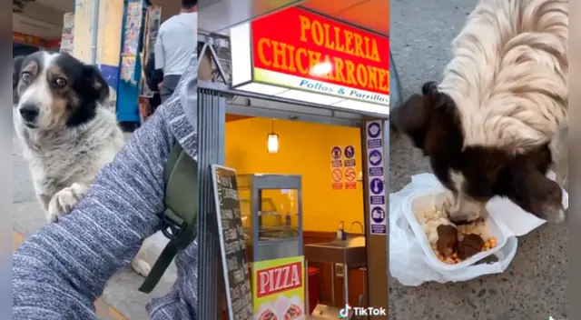 El clip cuenta con miles de reproducciones en TikTok. El clip cuenta con miles de reproducciones en TikTok.