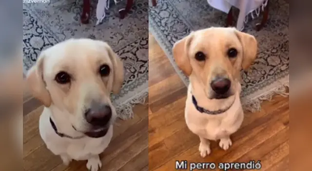 La escena causó el asombro de varios usuarios en las redes sociales. La escena causó el asombro de varios usuarios en las redes sociales.