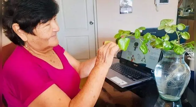 Aprende los secretos para cuidar sus plantitas.