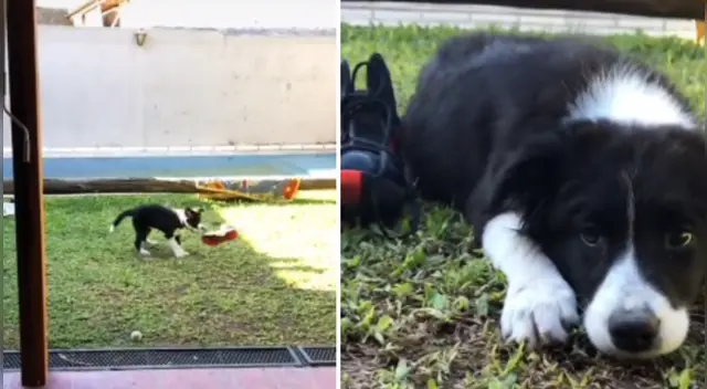 La escena causó la risa de varios usuarios en las redes sociales.