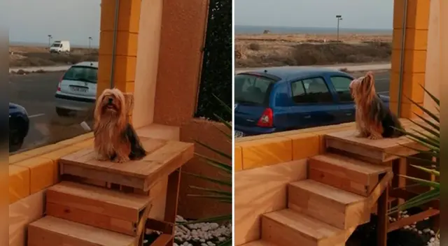 La publicación viral cuenta con miles de reacciones en Twitter y Facebook.