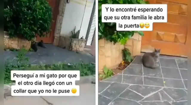 El clip cuenta con miles de reproducciones en TikTok.