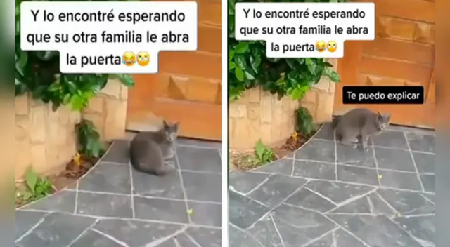 La divertida escena causó sensación en las redes sociales.