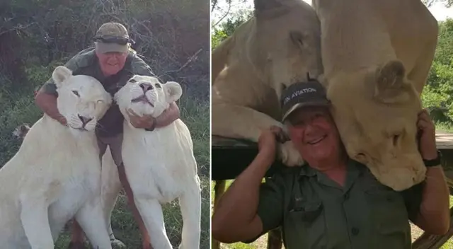 West Mathewson, de 68 años, fue atacado por sus dos leonas.