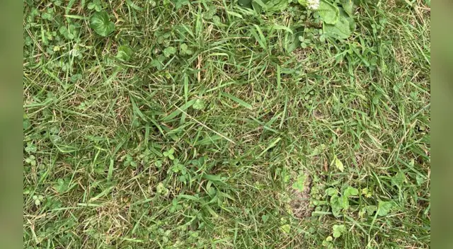 Pon a prueba tu agilidad visual. Pon a prueba tu agilidad visual.