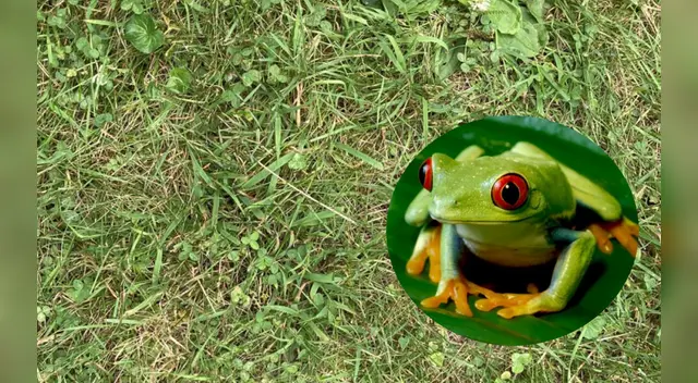 Pocos han podido resolver el challenge de Facebook. Pocos han podido resolver el challenge de Facebook.