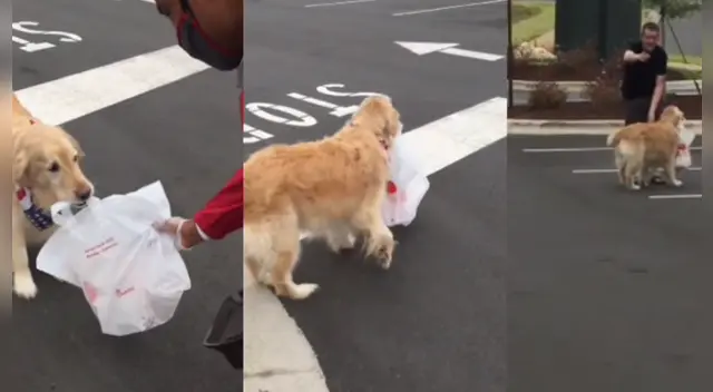 La tierna escena cautivó a los usuarios en las redes sociales.