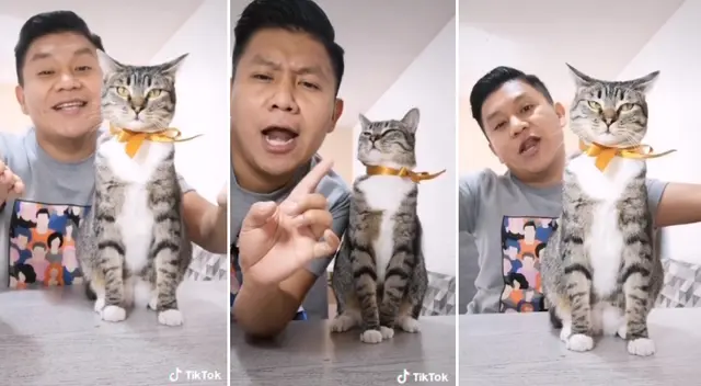 La reacción de la felina causó furor en TikTok. La reacción de la felina causó furor en TikTok.