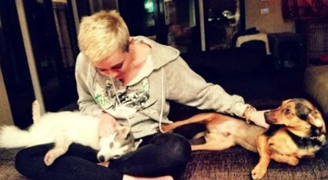 Miley Cyrus adopta a perrito abandonado en albergue y lo llama ‘Kate Moss’ Miley Cyrus adopta a perrito abandonado en albergue y lo llama ‘Kate Moss’