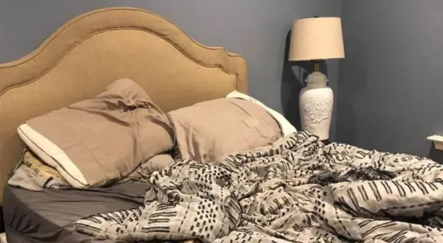 Encuentra al perro escondido en la imagen viral.