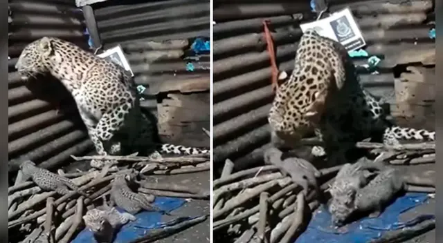 El clip cuenta con miles de reproducciones en YouTube. El clip cuenta con miles de reproducciones en YouTube.