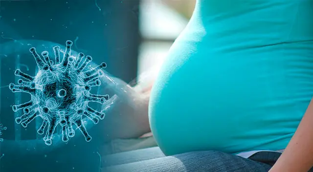 Imagen referencial de la mujer embarazada de España. Imagen referencial de la mujer embarazada de España.