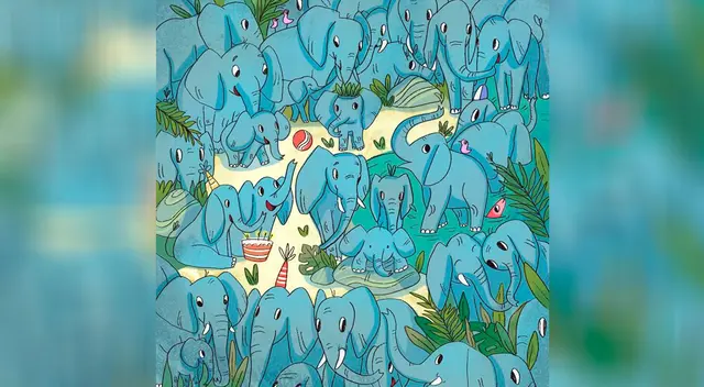 ¿Lograrás encontrar al rinoceronte escondido? ¿Lograrás encontrar al rinoceronte escondido?