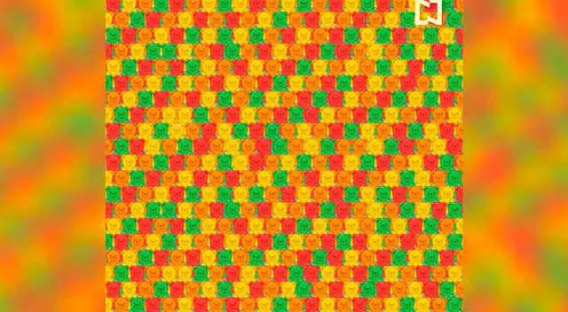 ¿Eres capaz de encontrar al oso de miel escondido? ¿Eres capaz de encontrar al oso de miel escondido?