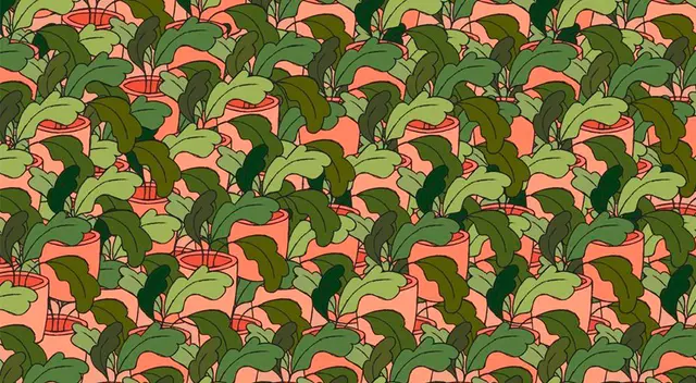 Encuentra los tres tréboles de tres hojas entre las demás plantas. Encuentra los tres tréboles de tres hojas entre las demás plantas.