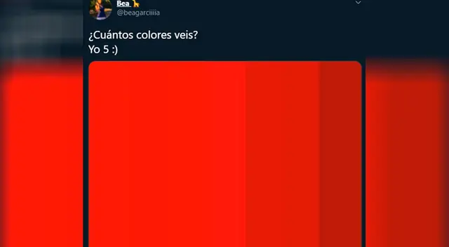El reto visual que nadie puede resolver