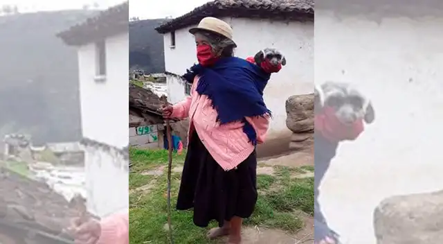 Realizan postal de fotografía que impactó a usuarios de Facebook y concientizó a proteger a los animales.