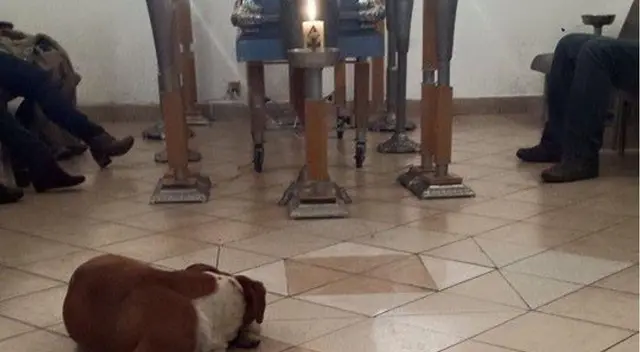 Se volvió viral en Facebook, la historia de un velorio de mujer que alimentaba a perros callejeros.