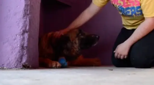 El tierno video se hizo viral en TikTok.