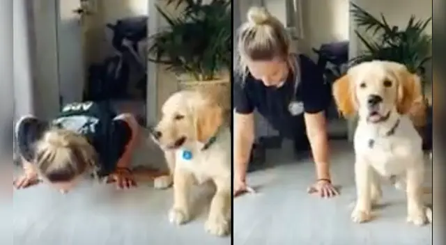 La escena causó la risa de varios usuarios en las redes sociales. La escena causó la risa de varios usuarios en las redes sociales.