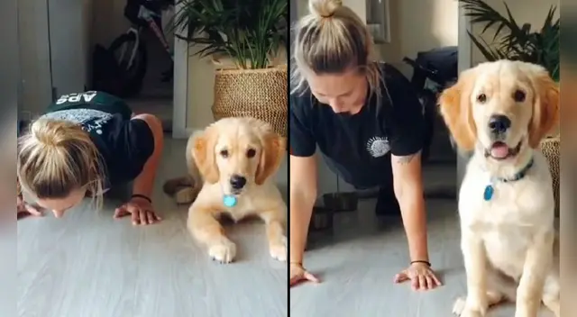 El clip cuenta con miles de reproducciones en TikTok. El clip cuenta con miles de reproducciones en TikTok.