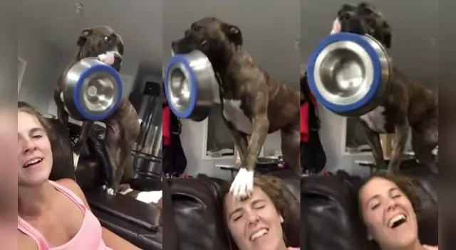 La divertida escena causó sensación en TikTok. La divertida escena causó sensación en TikTok.